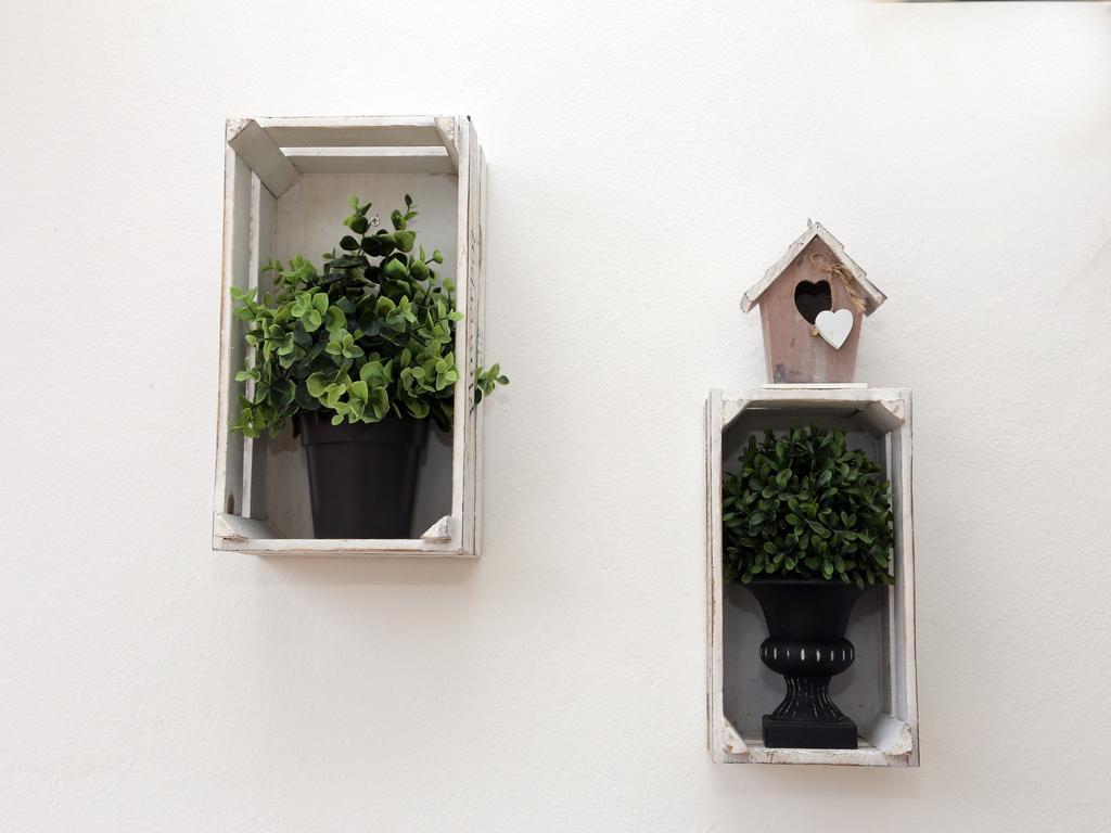 Dandelion - Free Parking